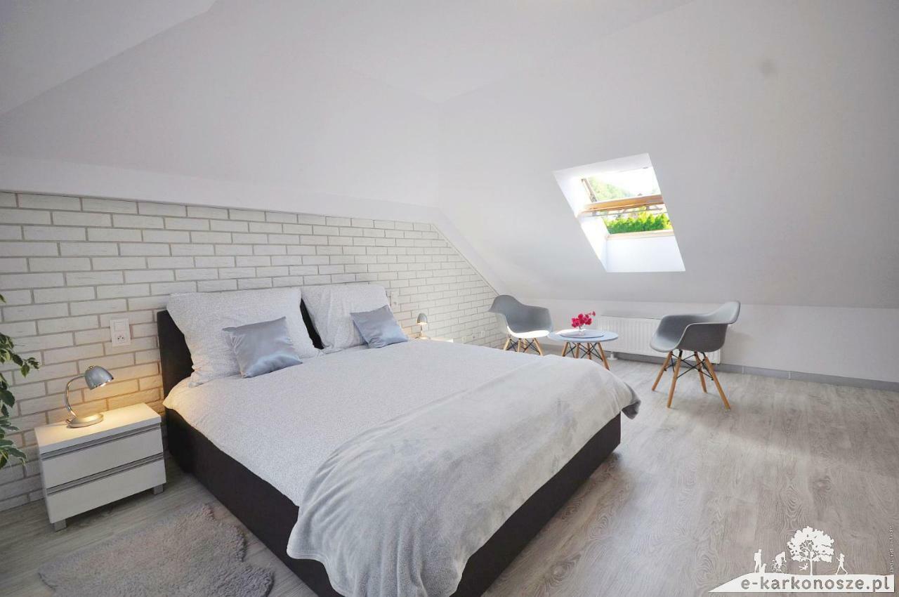 Jezow SudeckiApartament Widok Na Karkonosze公寓 外观 照片